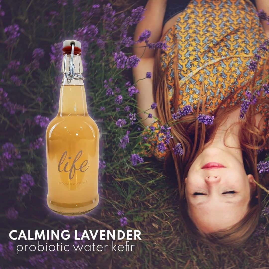 Better Sleep with Lavender Water Kefir LIFE Probiotics